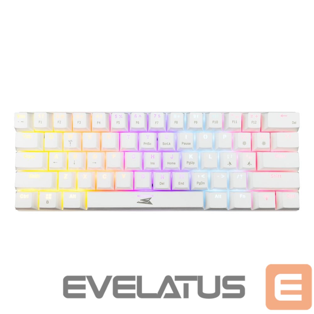 Computer keyboard Baracuda BGK-03221 Dolphin White US Mechanical Blue Switches