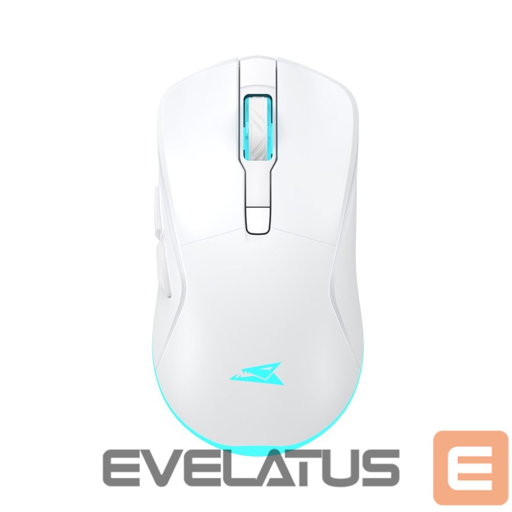 Computer mouse Baracuda BGM-122 Turtle White