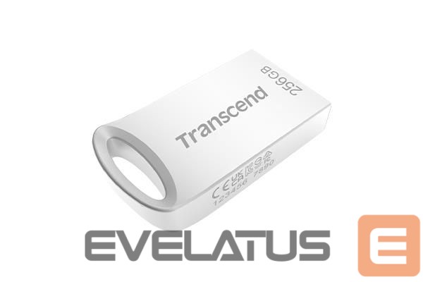 Flash drive Transcend MEMORY DRIVE FLASH USB3.1/256GB TS256GJF710S