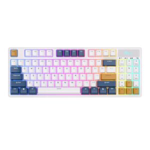 Computer keyboard Royal Kludge  Wireless mechanical keyboard Royal Kludge RK89 RGB, Lemon switch (white) 