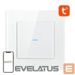 Nutikas seade Avatto  Smart Light Switch WiFi Avatto N-TS10-W1 1 Way TUYA (white) 