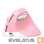 Kompiuterio pelė Delux  Wireless Vertical Mouse Delux M618Mini DB BT+2.4G 2400DPI (pink) 