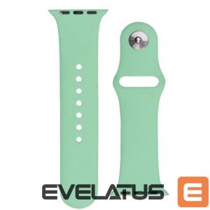 Siksniņa Hurtel  Silicone Strap APS for Apple Watch 42/44/45mm Strap Watch Bracelet - Light Green 