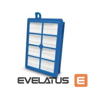 Vacuum cleaner Philips  Philips HEPA13 filter FC8038/01 