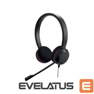 Wireless headphones Jabra  Jabra Evolve 20 MS stereo 