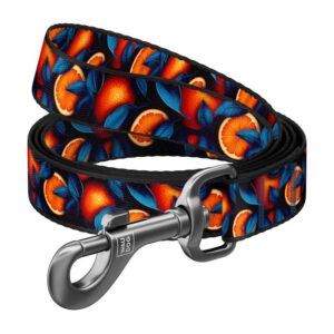 Kariloomade jaoks Waudog  Nylon dog leash, pattern ''Oranges'' length 122 cm Waudog 
