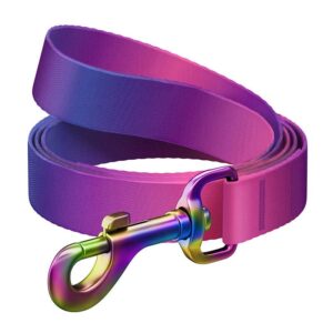Kariloomade jaoks Waudog  WAUDOG gradient nylon dog leash, 15mm wide, 122cm long, purple 