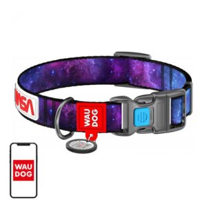 Gyvuliams Waudog  Waudog "NASA21" nylon dog collar with QR code, size M, width 20 mm 