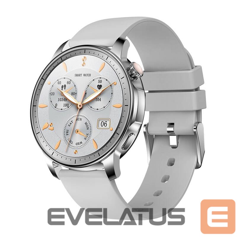 Smart watches Colmi Colmi V65 Smartwatch (Gray)