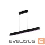 Galda lampa Philips Hue  Ensis pendant black 79W 24V | 79 W | White and Colour Ambiance 2000-6500K 