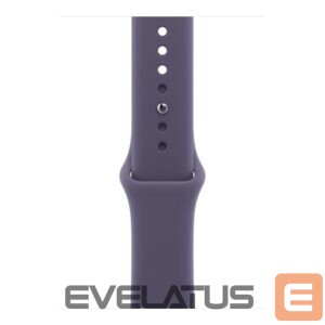 Išmanusis laikrodis Apple   