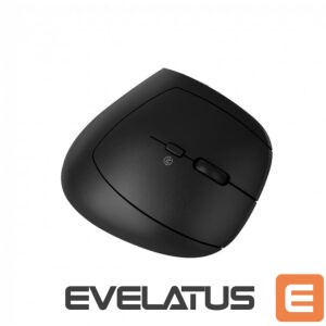 Computer mouse Canyon  CANYON mouse MW-25 Ergonomic LED AA Dual mode Wireless Black 