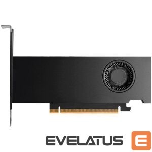 Graphic card / Video cards Pny  PNY NVIDIA RTX PRO 2000 Blackwell OEM Version, PCI-Express x16 Gen 5.0, Dual Slot, 16 GB GDDR7 ECC 128-bit, 4x Mini DP 2.1b, HDCP 2.2 and HDMI 2.0 support with opt. Adapter 