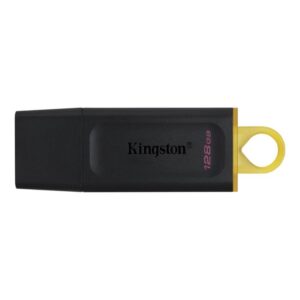 Flash drive Kingston  MEMORY DRIVE FLASH USB3.2/128GB DTX/128GB 