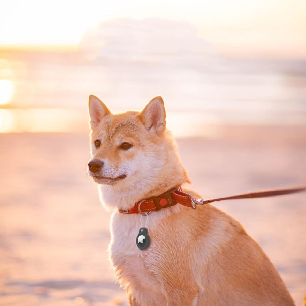 Other goods Tech-Protect Tech-Protect Rough Vein 2-pack case for Apple AirTag - black