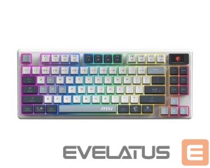 Computer keyboard MSI  KEYBOARD GAMING BLACK US/FORGE GK600 TKL 