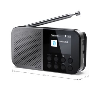 Interactive solution Sharp  DR-P520(GY) OSAKA Pocket/Handheld Portable Digital Radio, Grey | 
