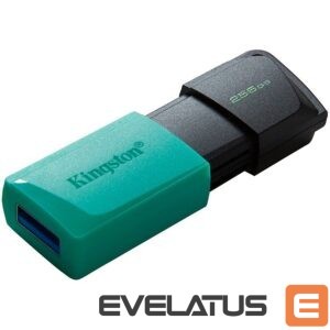Converter Kingston  Kingston 256GB USB3.2 Gen1 DataTraveler Exodia M (Black + Teal) 