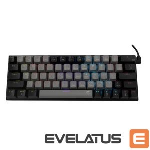 Computer keyboard White Shark  GK-002721 Wakizashi Grey-Black US 