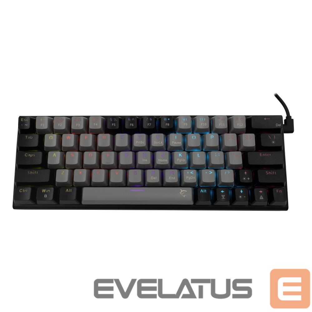 Computer keyboard White Shark GK-002721 Wakizashi Grey-Black US