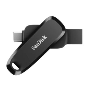 Flash drive SANDISK BY WESTERN DIGITAL  MEMORY DRIVE FLASH USB-C 256GB/SDDDC6-256G-G46 