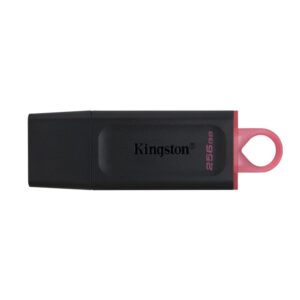 Citi Kingston  Kingston pendrive 256GB USB 3.2 DT Exodia 